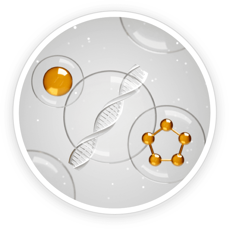 DigestSync is made of Biogenic Polyamines
