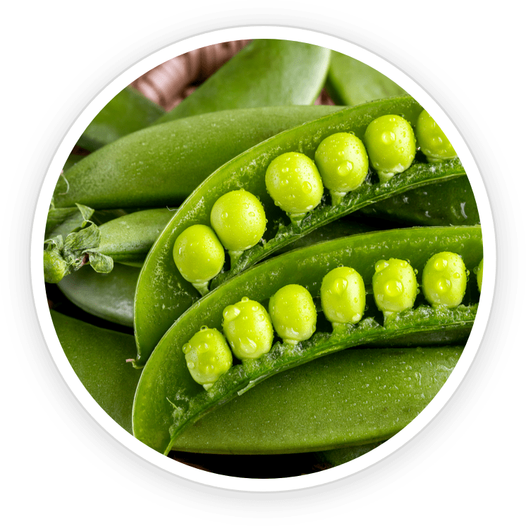 DigestSync is made of Pea Starch