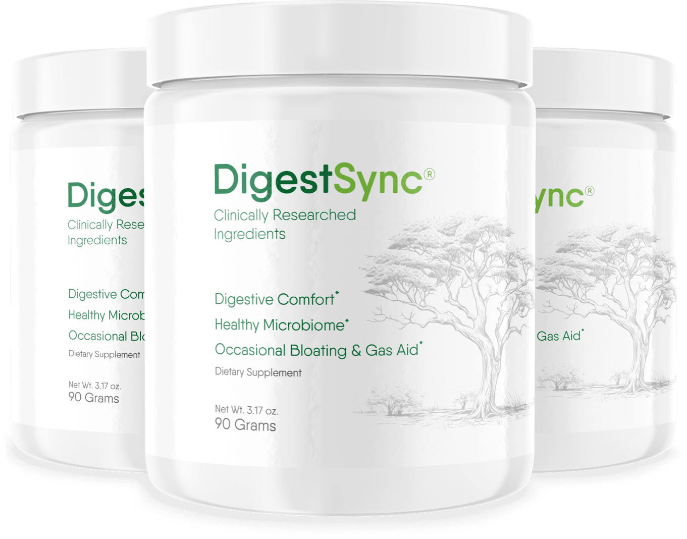 DigestSync Product Image